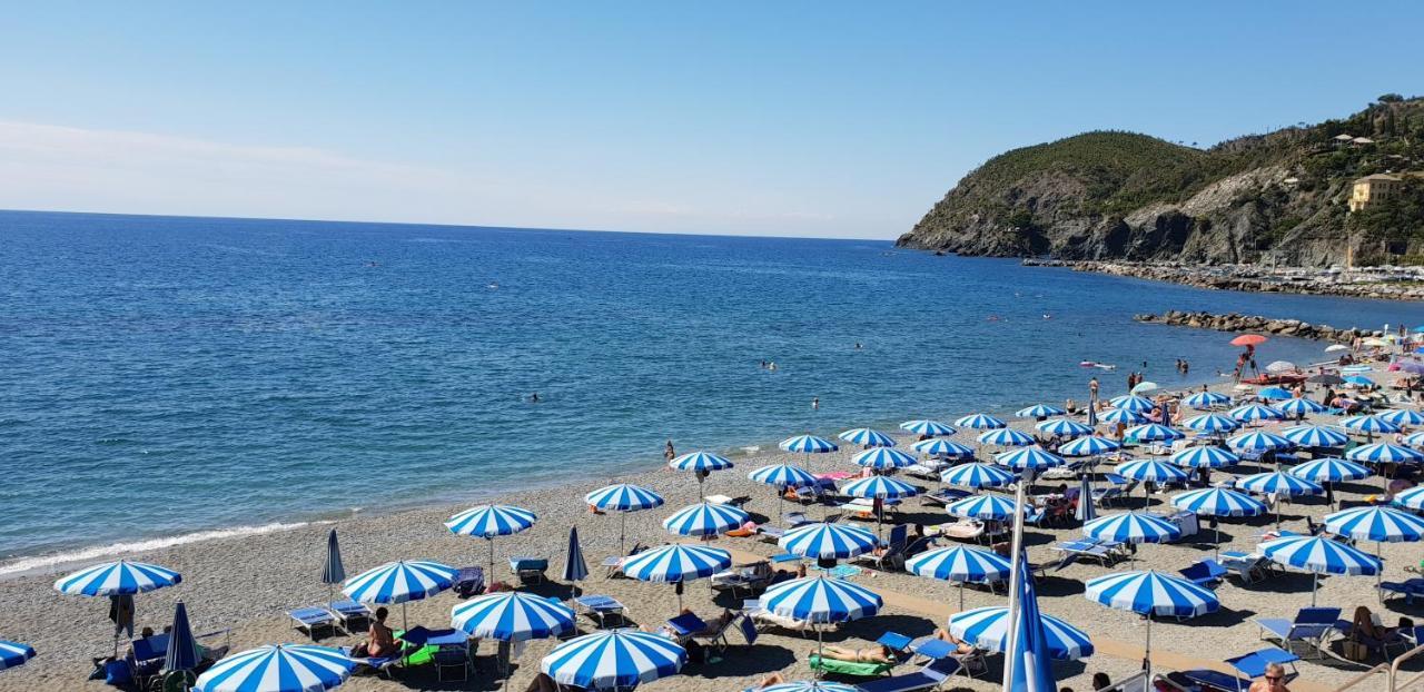 Norma * Levanto